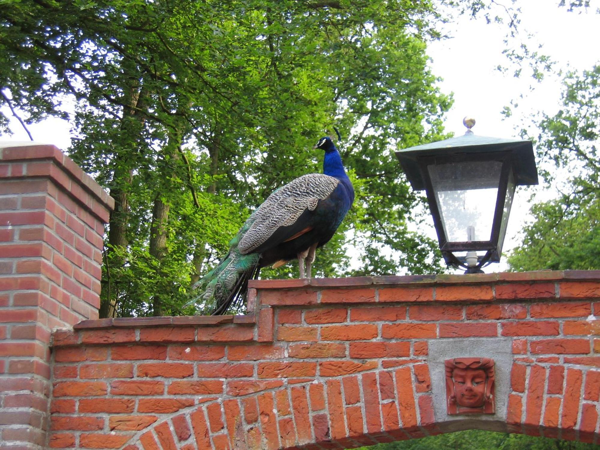 Londons Cottage Хилверсъм Екстериор снимка